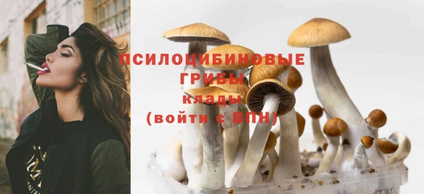 прущий лед Волосово